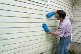 Best Siding Painting and Refinishing  in Aledo, TX